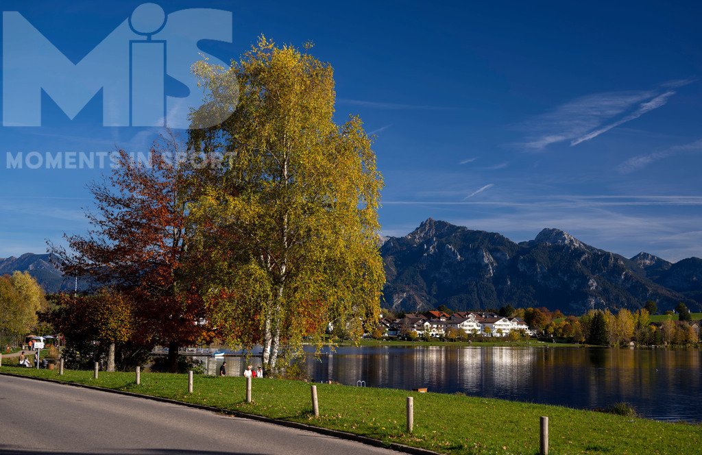 2.Liga-1860-HEIM.jpg | 17.10.2022, Herbst am Hopfensee im Allgäu (Bayern) bei Füssen. - Realisiert mit Pictrs.com