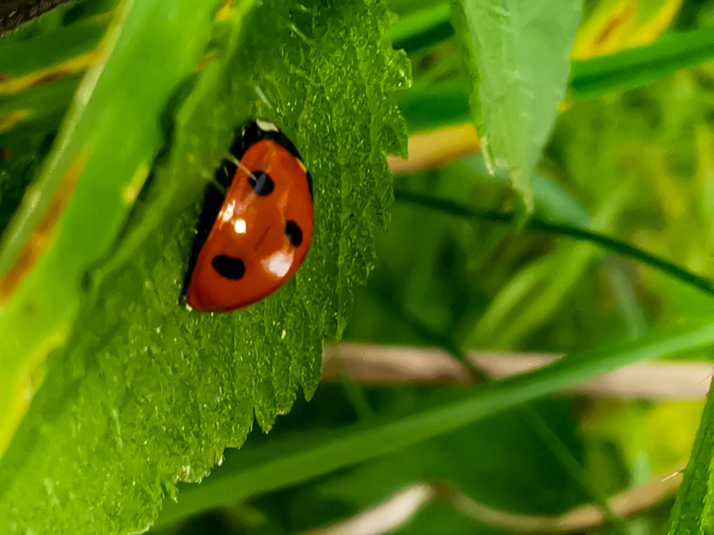 PSX_20230825_224722 | mtkfoto_ - Realisiert mit Pictrs.com