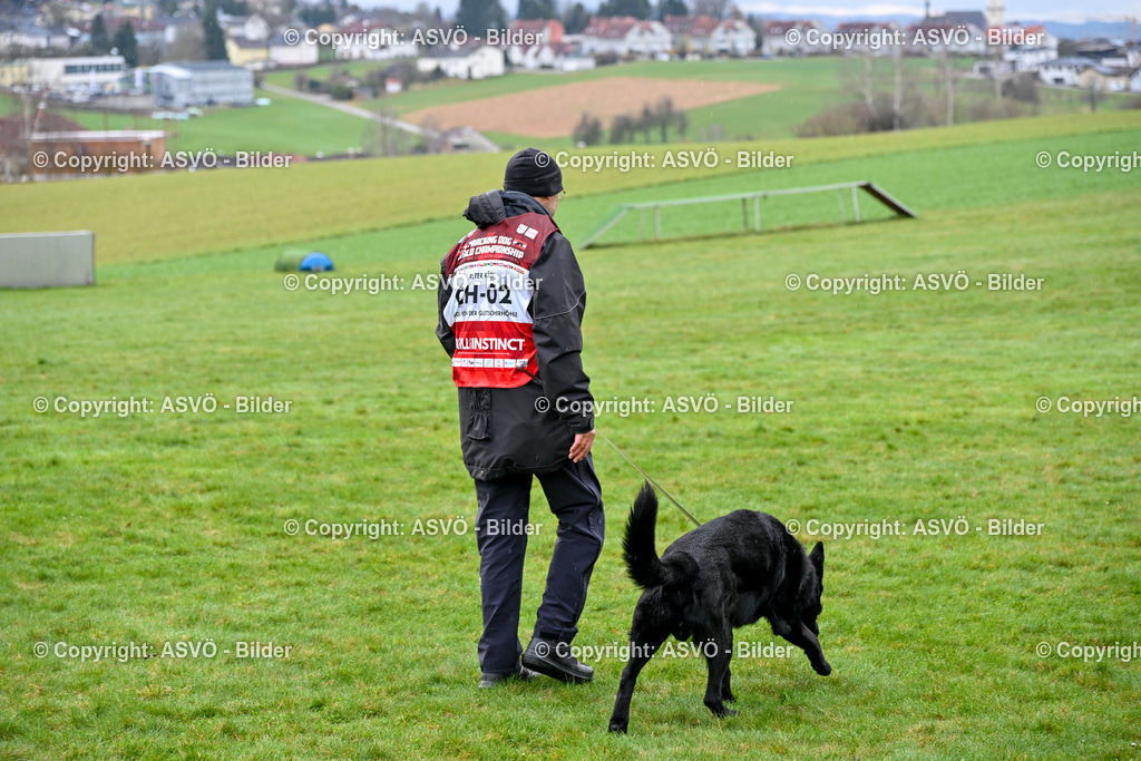ASVÖ_ Tracking Dog World Championship 2025_ 31.03.2025-7 | 31.03.2025, AUT, ASVÖ, Tracking Dog World Championship // FCI IGP Fährtenhundeweltmeisterschaft 2025©fodo.media / Harald Dostal - Realisiert mit Pictrs.com