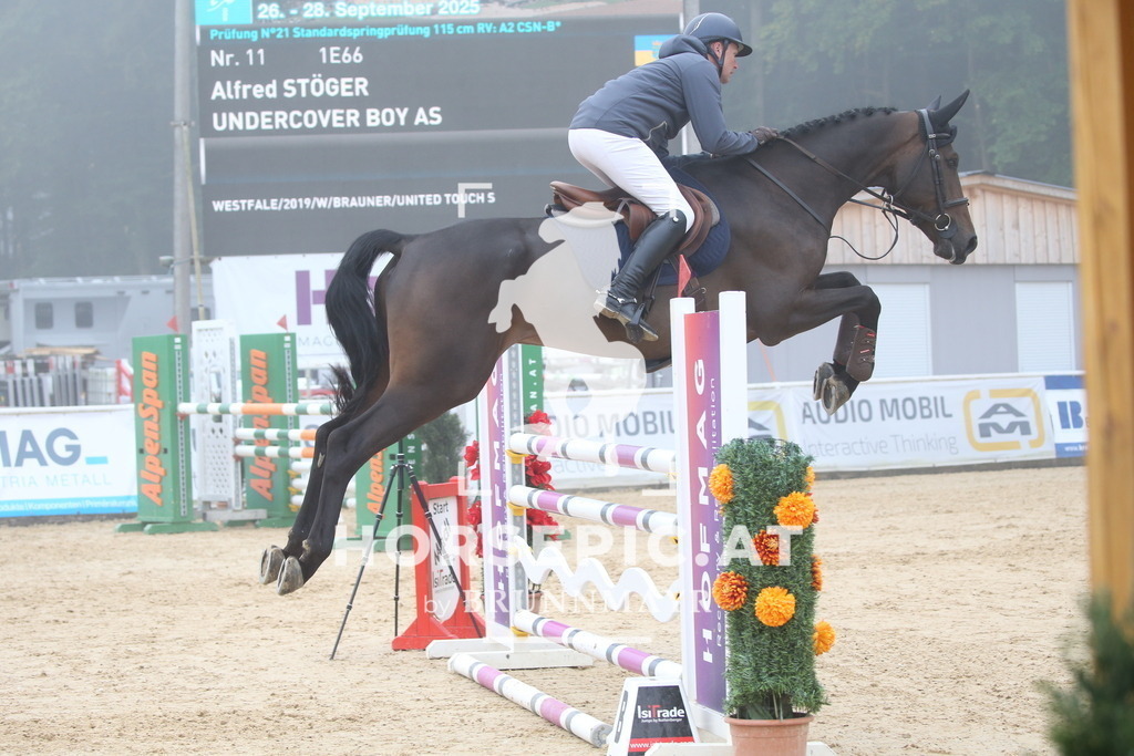 DL2Q3253 | Willkommen bei Brunnmayr - Design & Fotografie – Ihrem Spezialisten für Reitturniere und Pferdeveranstaltungen in Oberösterreich, Salzburg und Bayern! Seit über 17 Jahren sind wir leidenschaftlich dabei.