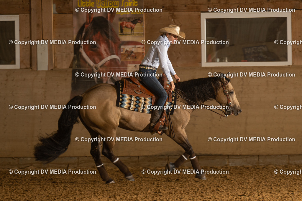 LAU00186 | dv-media-shop - Realisiert mit Pictrs.com