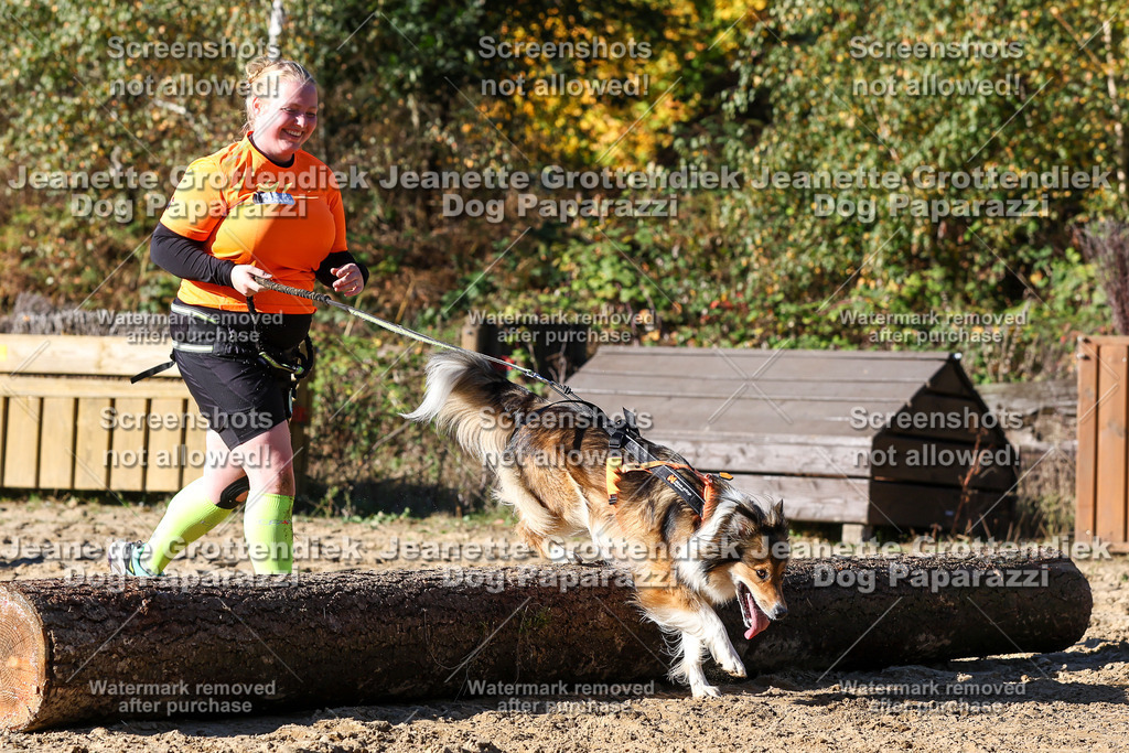 Dog Paparazzi - Strongdog 10-25-2608 | Dog Paparazzi Jeanette Grottendiek Fotografie & Videografie - Realisiert mit Pictrs.com