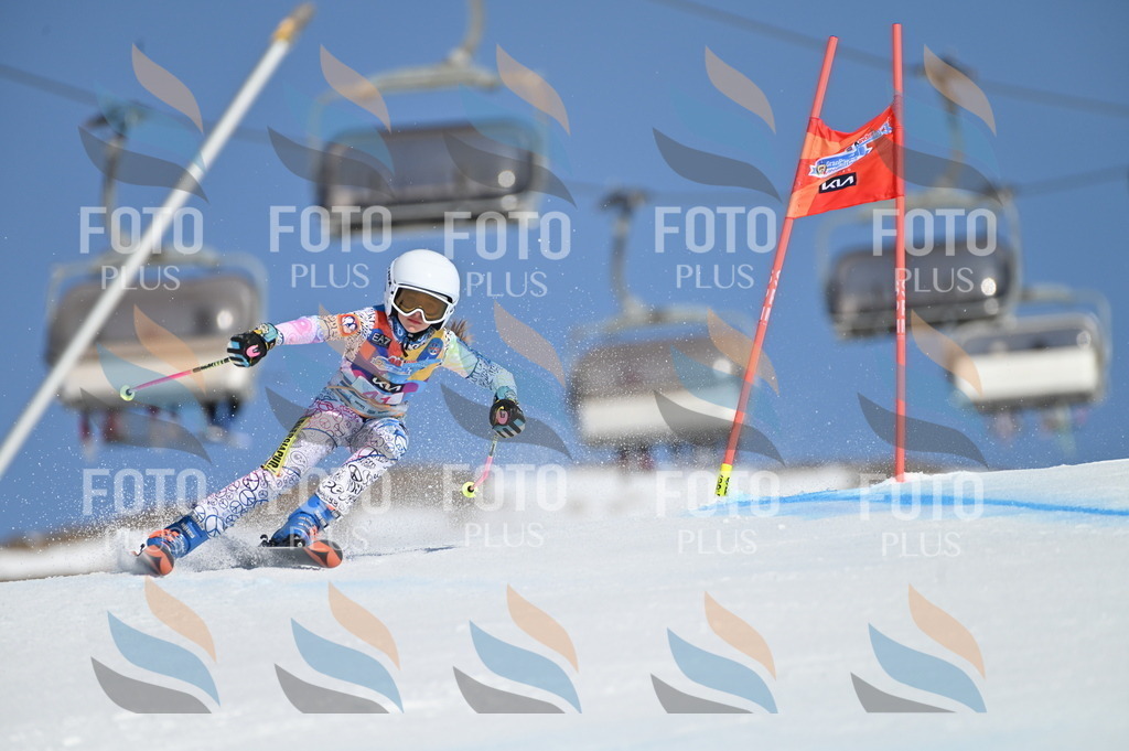 BGV_8365 | holidayphoto