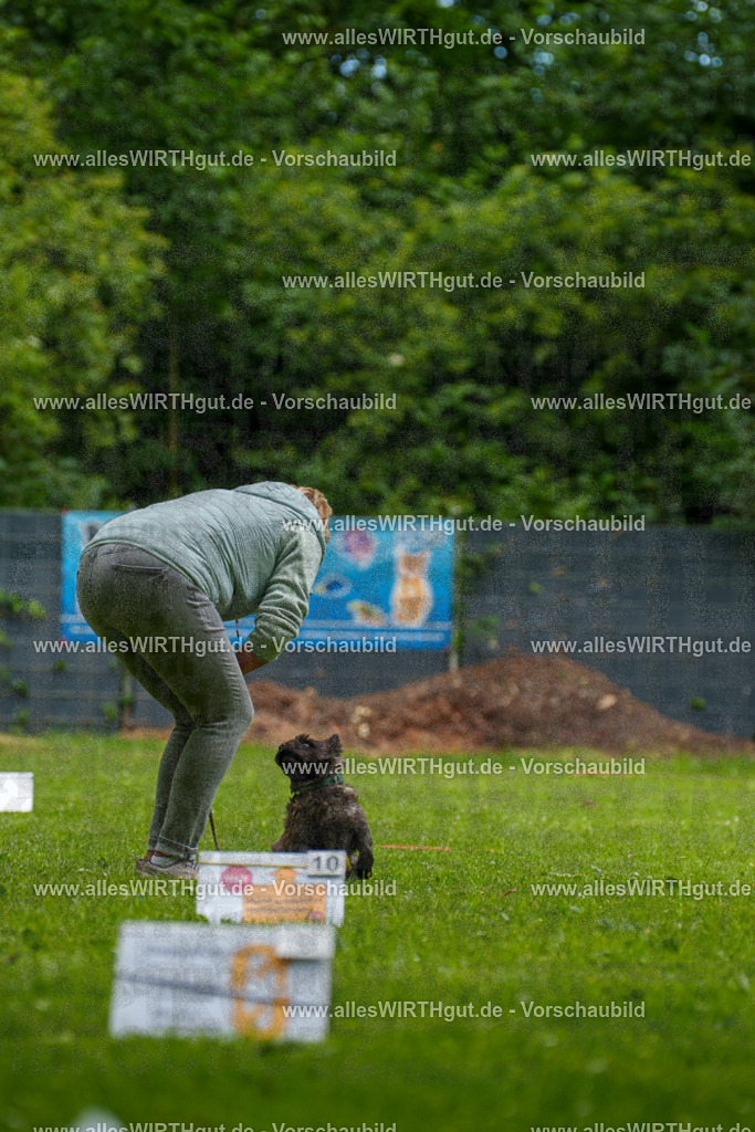 @allesWIRTHgut_Tierfotografie - www.allesWIRTHgut.de - 130143-7R509705 | Professionelle Tierfotografie in Mönchengladbach von Daniel Wirth (allesWIRTHgut). Liebevolle & natürliche Bilder von Hunden & Katzen für unvergessliche Erinnerungen.