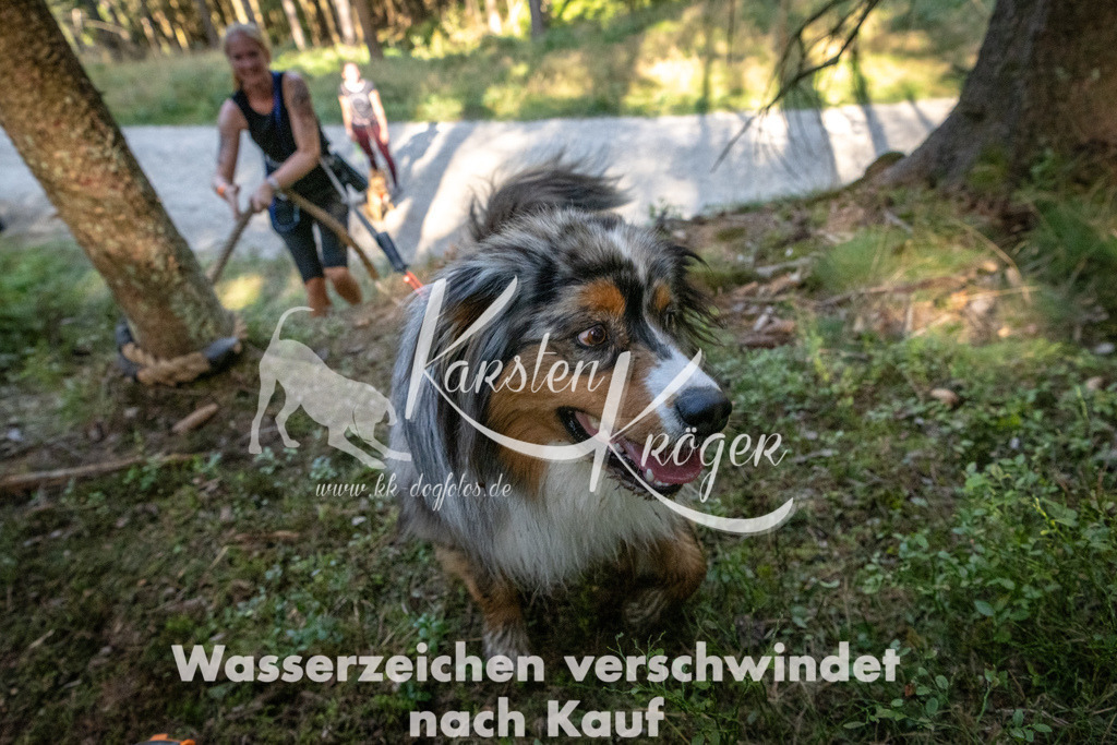 1108_ZZ94689 | kk-dogfotos