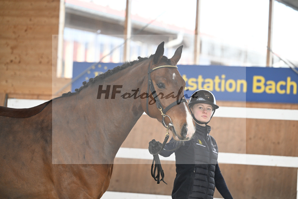 Kat-Nr. 28 Vintl B v. Vigaro_Rau_14260873 | hf-fotografie - Realisiert mit Pictrs.com