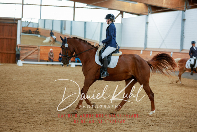 _62_5621 | Turniersportfotografie; Pferdefotografie; Dressurfotografie