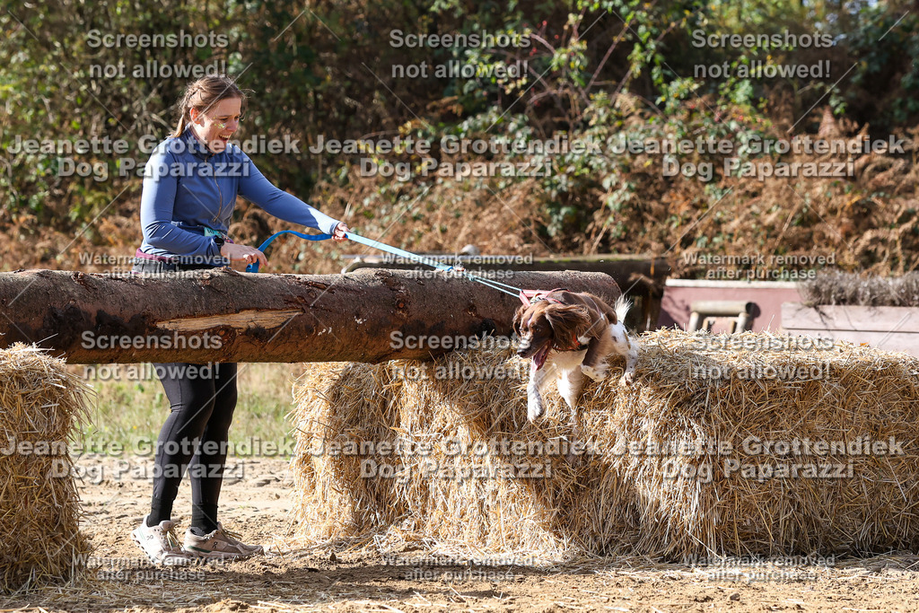 Dog Paparazzi - Strongdog 10-25-5266 | Dog Paparazzi Jeanette Grottendiek Fotografie & Videografie - Realisiert mit Pictrs.com