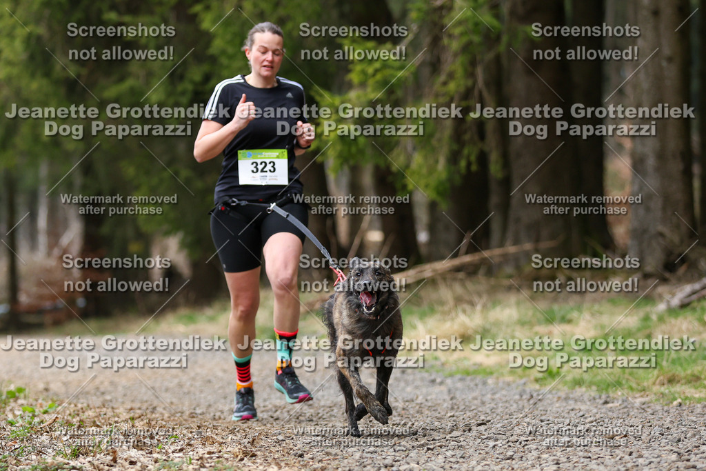 Dog Paparazzi - VCC26-449 | Dog Paparazzi Jeanette Grottendiek Fotografie & Videografie - Realisiert mit Pictrs.com