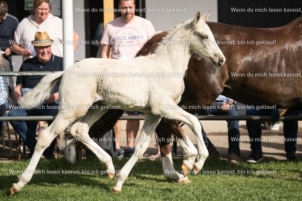 598A6879 | photographylinaismer - Realisiert mit Pictrs.com