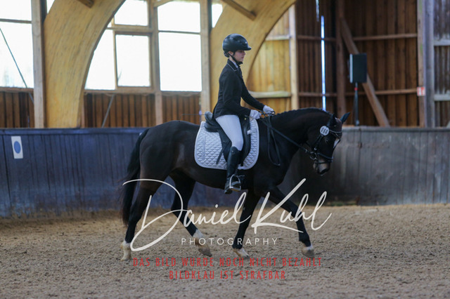 IMG_0934 | Turniersportfotografie; Pferdefotografie; Dressurfotografie