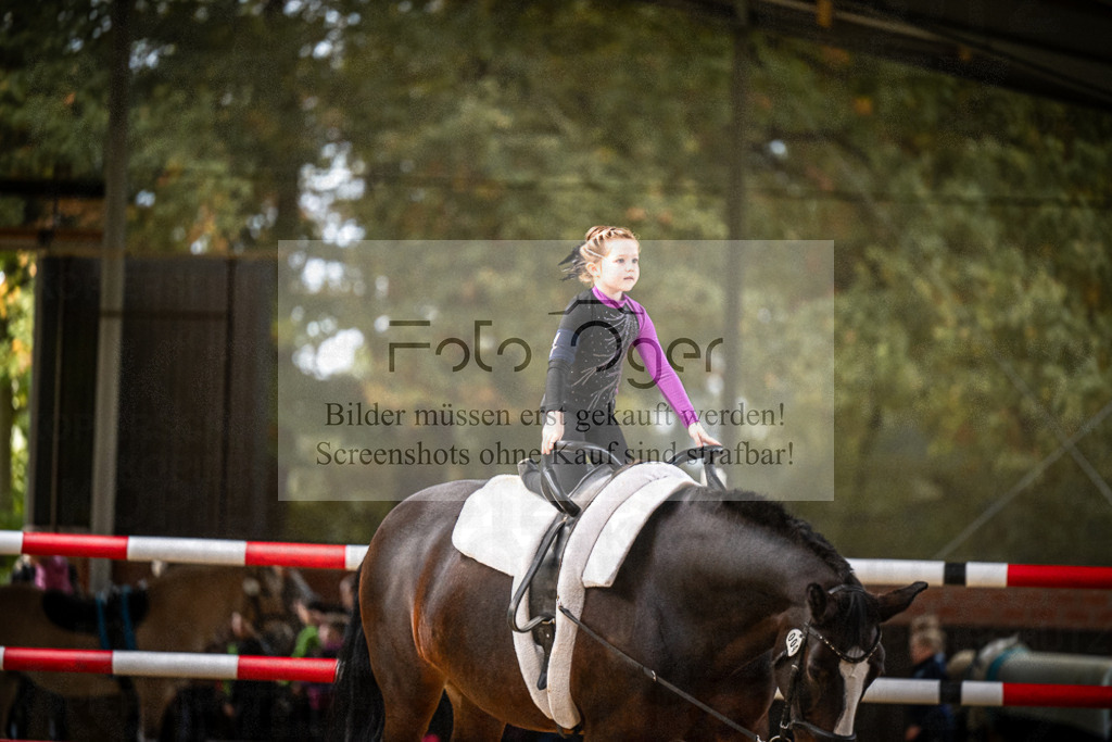 DOS_0061 | Entdecke hochwertige Reitturnierfotos von Foto Oger. Professionell, emotional und authentisch – jetzt Lieblingsmomente im Shop bestellen.Deutschlandweite Turnierfotografie. - Realisiert mit Pictrs.com
