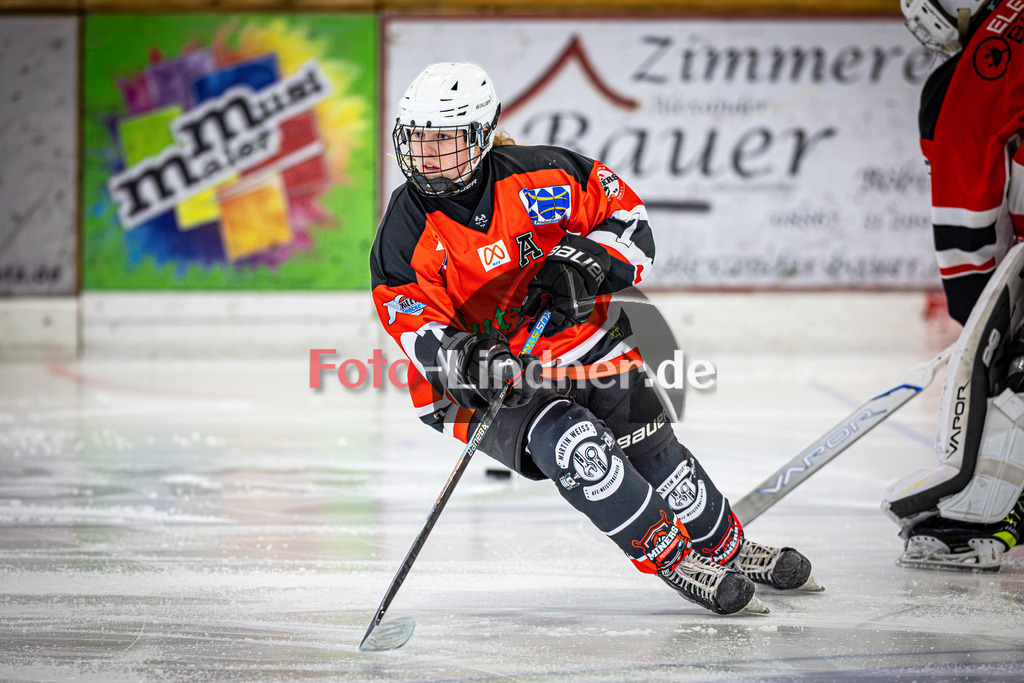 R31_3164 | Shop für Sportfotografie, Bilddatenbank, Pressefotografie, Fußball, Eishockey, Aktionsfotos