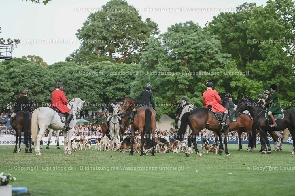20230526_Pferdenacht_0550 | equistock
