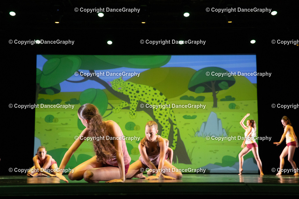 GPHY6332 | DanceGraphy - Realisiert mit Pictrs.com