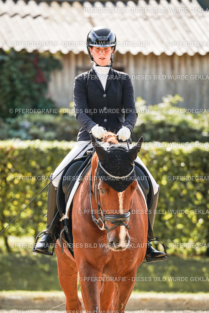 DSC08717 | Pferdegrafie