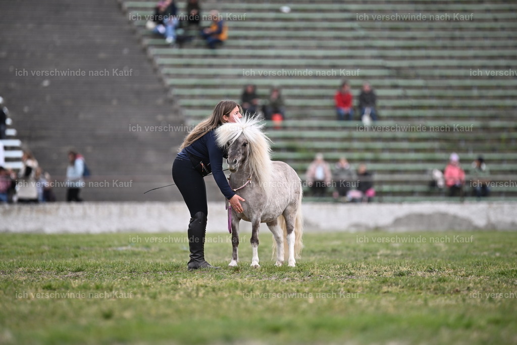 PI26_Show_Sara_Landvogt_226_1058.JPG | working equitationturnier fotograf videograf stoibphotography marixx film working equitation deutschland reitsport turnierfotografie eventfotografie equestrian events