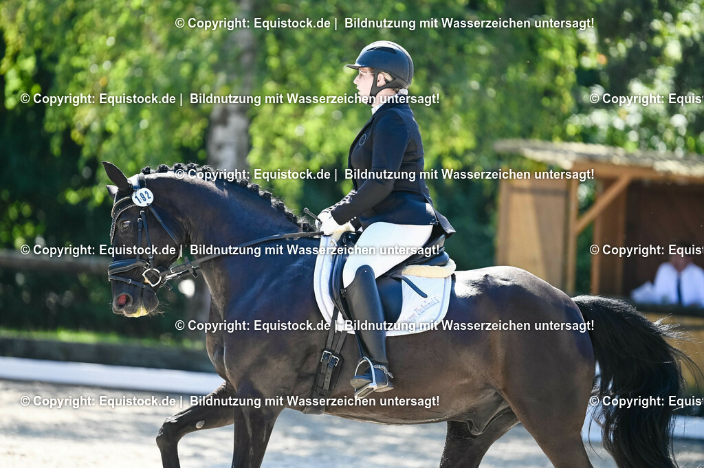 20230908_06_Dressur-L-Trense_0699 | equistock