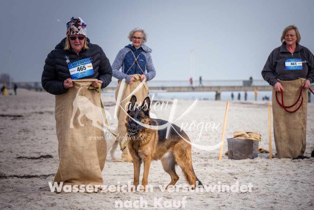 1306_ZZ98653 | kk-dogfotos