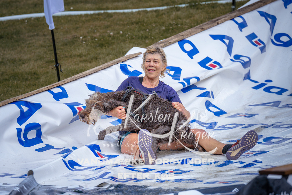 _ZZ916860917 | kk-dogfotos