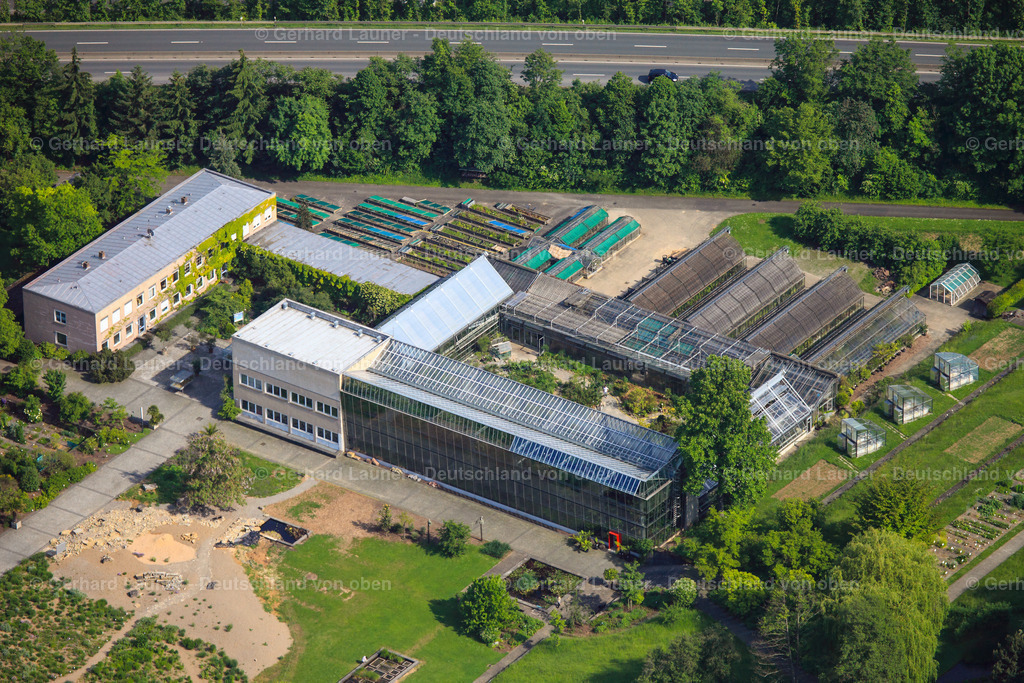 3091794 | Botanischer Garten der Universität Würzburg