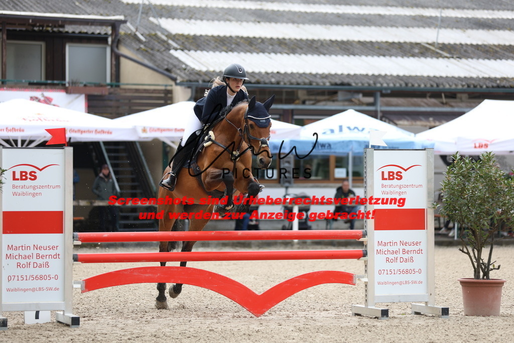 A40A1161 | lmwpictures - Realisiert mit Pictrs.com