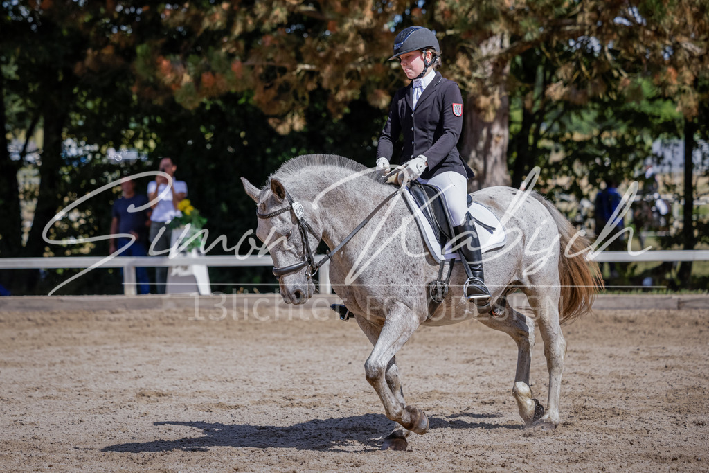 20250906-_3LI5124 | Tierfotografie Pferde, Hunde, Katzen, Haustiere.
Turnierfotografie Reitturniere, Reiten, Springreiten, Dressur in Hanau, dem Main-Kinzig-Kreis und dem Rhein-Main- Gebiet um Frankfurt