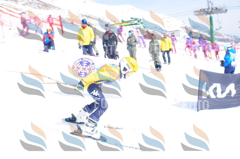 DSC_6958 | holidayphoto