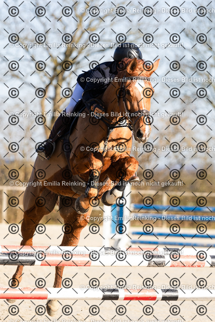 CL5A3310 | Emilia Reinking Fotografie - Realisiert mit Pictrs.com