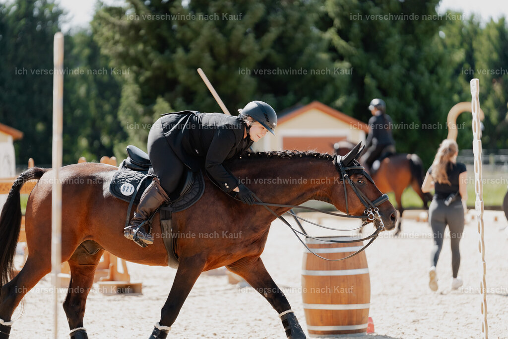 Lara_21_FHC2025-34 | working equitationturnier fotograf videograf stoibphotography marixx film working equitation deutschland reitsport turnierfotografie eventfotografie equestrian events