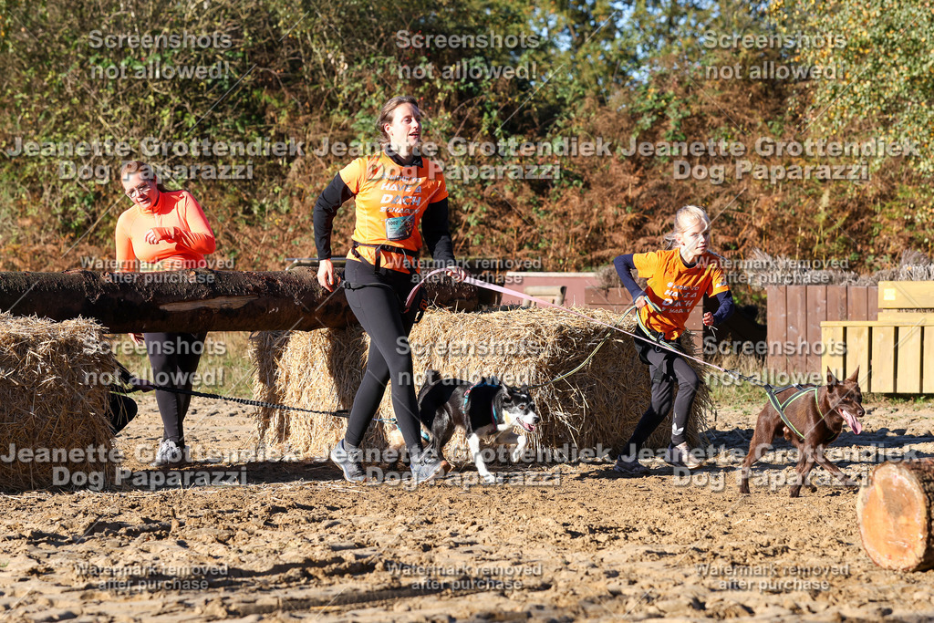 Dog Paparazzi - Strongdog 10-25-1407 | Dog Paparazzi Jeanette Grottendiek Fotografie & Videografie - Realisiert mit Pictrs.com