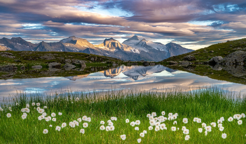 20220713-DSC_8536-fertig | martinengelmann - Realisiert mit Pictrs.com