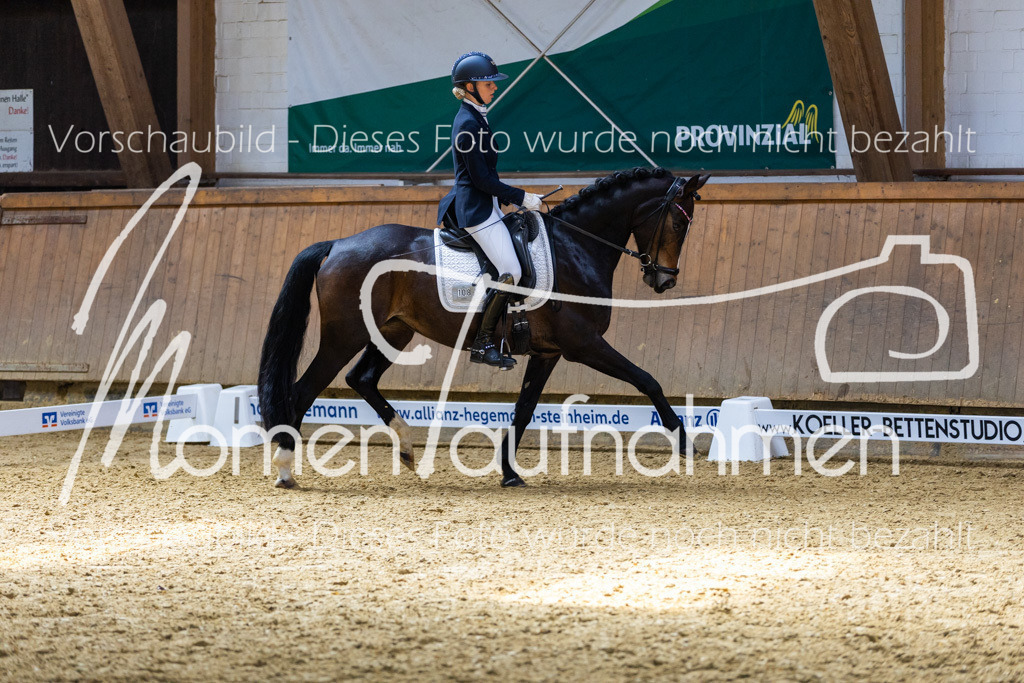 Sth-LPO25-DrR-L-276 | MomenTaufnahmen Pferdesportfotos