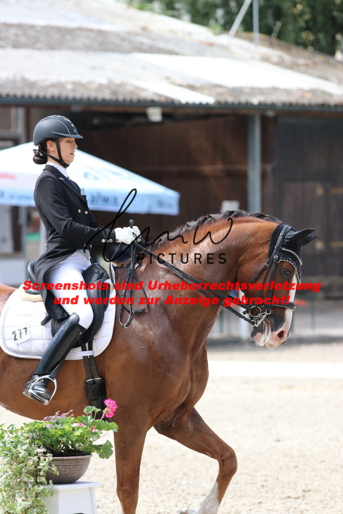 IMG_7112 | lmwpictures - Realisiert mit Pictrs.com