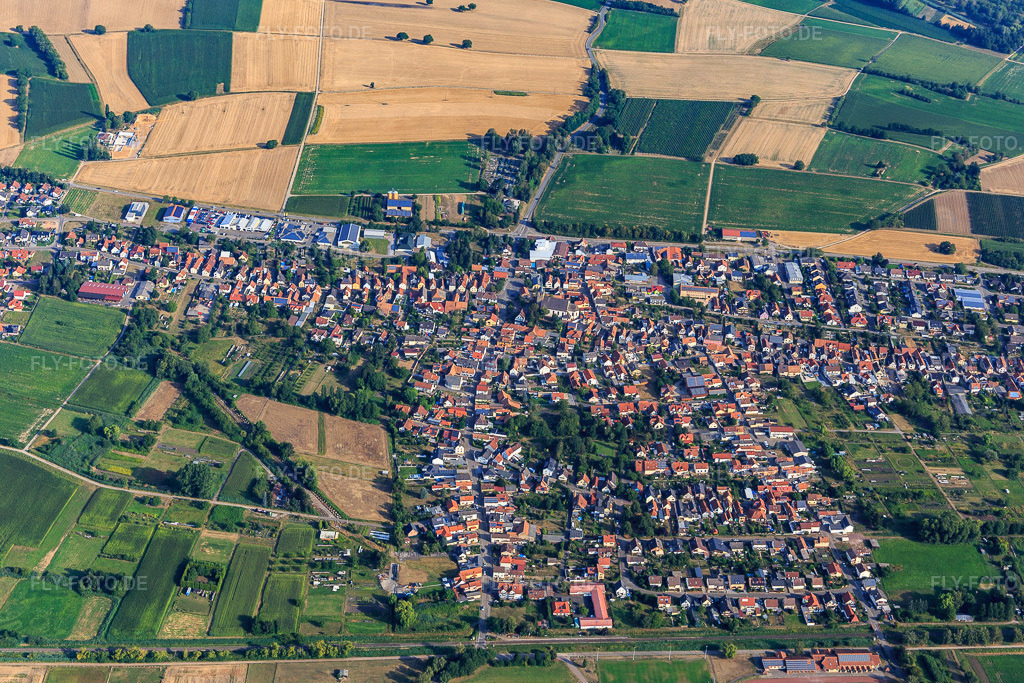 Luftbild: Ortsansicht von Südosten in Steinfeld im Bundesland Rheinland-Pfalz in Deutschland. Foto: IMG_121929.jpg vom 01.08.2020 durch Werner Riehm/FLY-FOTO.de