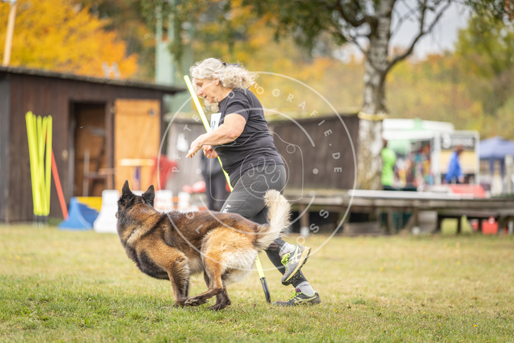 Pfotenfotografie_DV3A5487 | Hundefotografie, Tierfotograf, Pfotenfotografie, Fotoshooting Hund, Hunde Portrait, Hundesport, Hundeportraits, Heideshooting, Hunde, Sportfotograf, Hundefotograf, Turnierhundsport, THS,  - Realisiert mit Pictrs.com