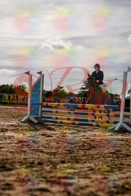 2026_10_03_Siefer-Hof_155321_Z63_10382404 | Professionelle Reitsport-, Turnier- und Eventfotografie von Robert Broda. Galerien mit ausgewählten und bearbeiteten Bildern direkt online ansehen und bestellen.