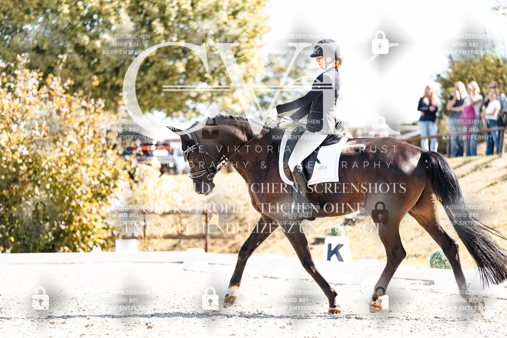 CK909375 | Turnierfotografie Pferdefotografie Trier Rheinland-Pfalz Pferdesport Reitsport Tierfotografie Sportfotografie Pferdevideo Pferdevideografie Equestrianvideography equestrianphotography  - Realisiert mit Pictrs.com
