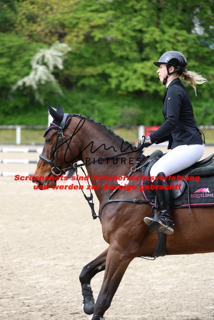 A40A1291 | lmwpictures - Realisiert mit Pictrs.com