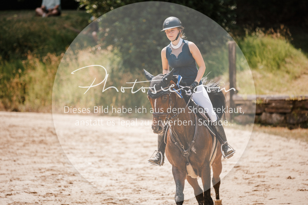 3I6A8178 | Stimmungsvolle Portraits und Reitsportfotografie im Ruhrgebiet und im Münsterland.

Pferdefotografie, Hundefotografie, Tierfotografie, Reportagen, Portraits von Tier und Mensch, Turnierfotografie in Bochum, Recklinghausen, Marl, Haltern am See, Dülmen.. - Realisiert mit Pictrs.com