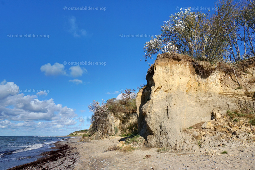 Steilküste mit Abbrüchen  | Nach mehreren Abbrüchen im Frühjahr erscheint diese Steilküste wie eine zerklüftete Felsformation im Gebirge.