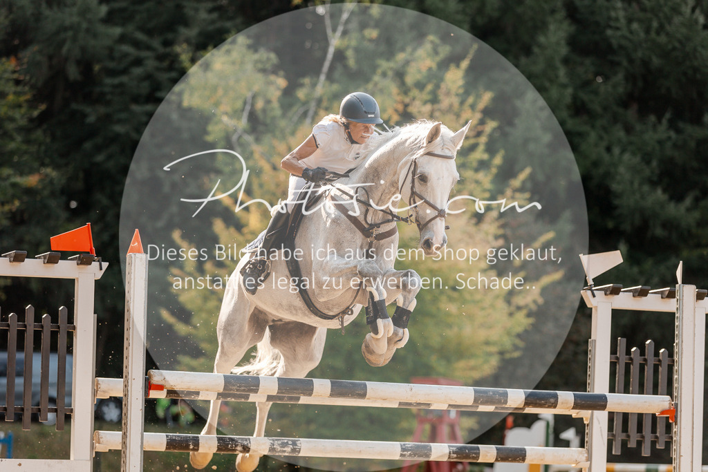 3I6A5012 | Stimmungsvolle Portraits und Reitsportfotografie im Ruhrgebiet und im Münsterland.

Pferdefotografie, Hundefotografie, Tierfotografie, Reportagen, Portraits von Tier und Mensch, Turnierfotografie in Bochum, Recklinghausen, Marl, Haltern am See, Dülmen.. - Realisiert mit Pictrs.com