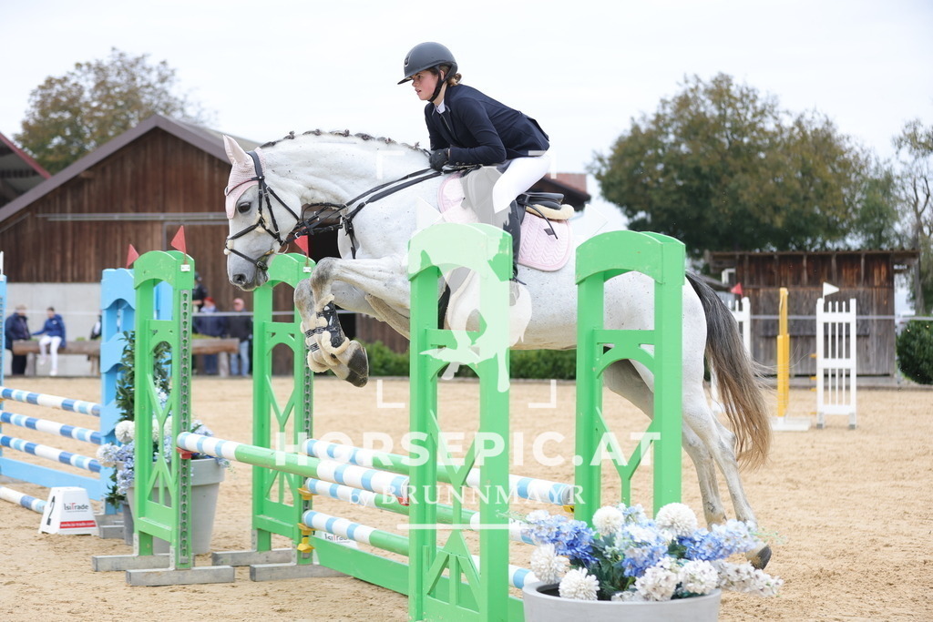 0P6A2370 | Willkommen bei Brunnmayr - Design & Fotografie – Ihrem Spezialisten für Reitturniere und Pferdeveranstaltungen in Oberösterreich, Salzburg und Bayern! Seit über 17 Jahren sind wir leidenschaftlich dabei.