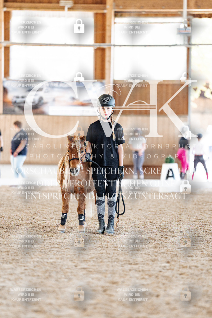 CK907010 | Turnierfotografie Pferdefotografie Trier Rheinland-Pfalz Pferdesport Reitsport Tierfotografie Sportfotografie Pferdevideo Pferdevideografie Equestrianvideography equestrianphotography  - Realisiert mit Pictrs.com