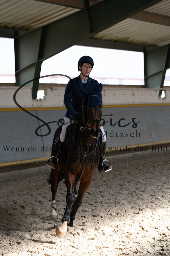 A7V08139 | Pferdefotograf