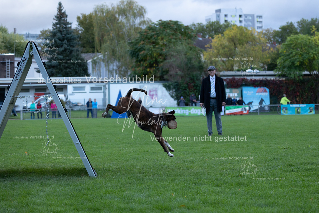 _16A4616 | Einzigartige Fotos von Hunden & Menschen –Actionfotos, Portraits, Vereinsaufnahmen & Paarshootings – authentisch, lebendig & mit Herz.
