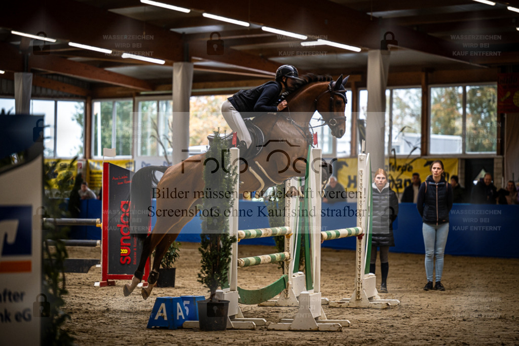 DOS_0425 | Entdecke hochwertige Reitturnierfotos von Foto Oger. Professionell, emotional und authentisch – jetzt Lieblingsmomente im Shop bestellen. - Realisiert mit Pictrs.com
