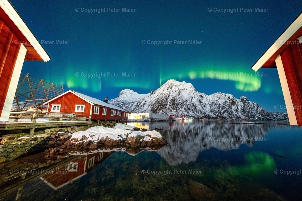 Lofoten_Nov_2023_Peter_Maier-4859 | piet_flosse