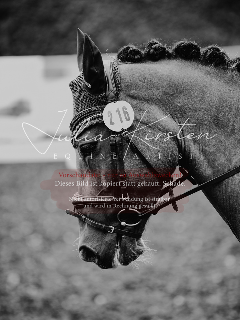 DSC_4479 | Pferde- und Turnierfotografie in Westsachsen. Pferdeportraits, Auftragszeichnungen und intuitive Kunst.