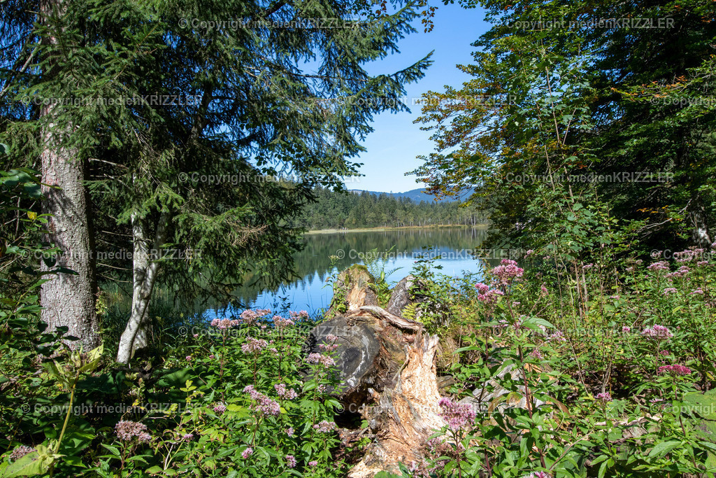 Frillensee | medienkrizzler - Realisiert mit Pictrs.com